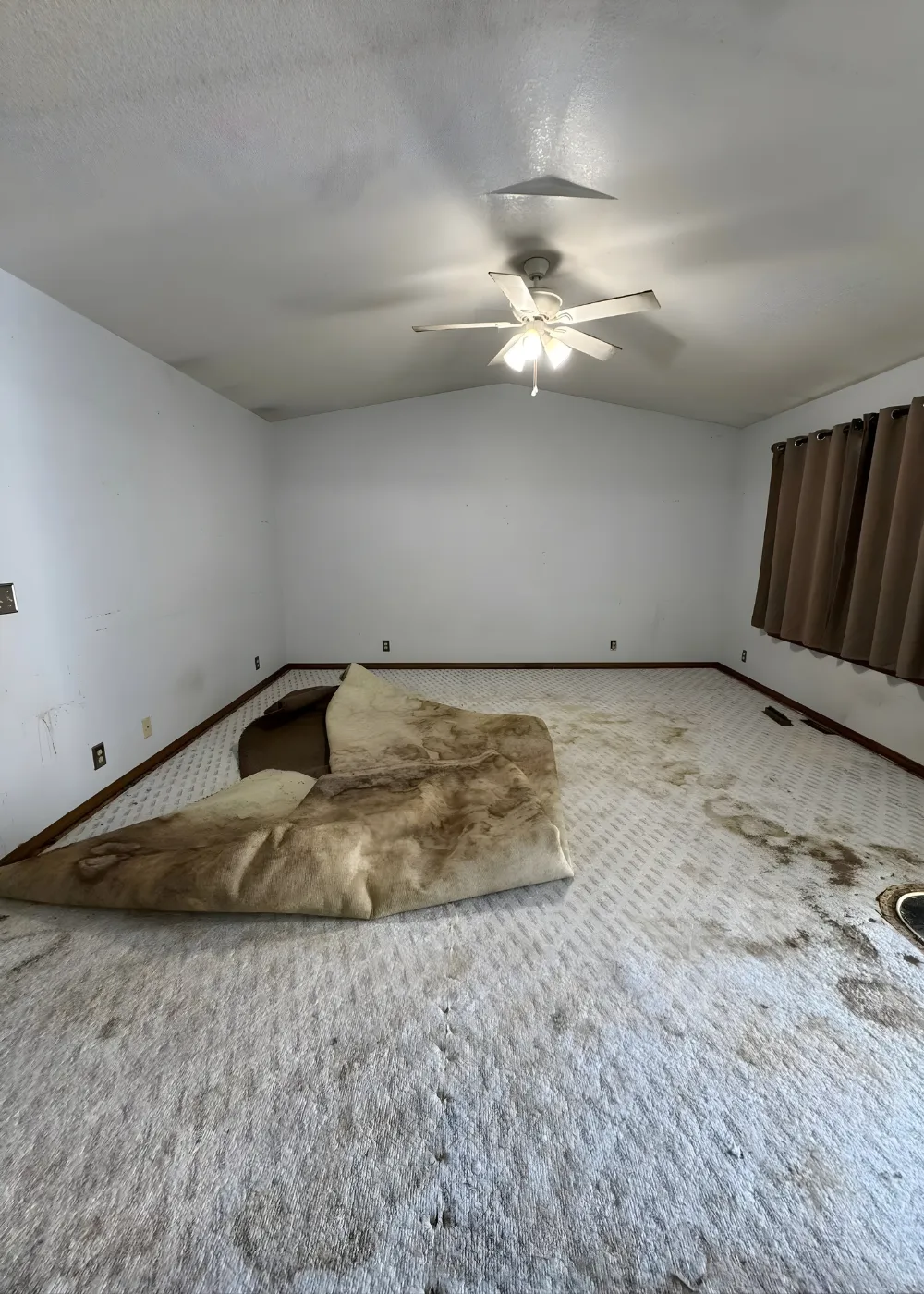 Untitled design (87)_11zon